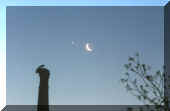 lune2.jpg (32569 octets)